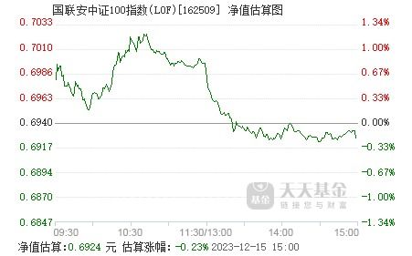 中证100指数什么意思？