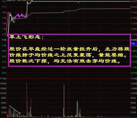 股票买入后``多长时间后才可以卖出