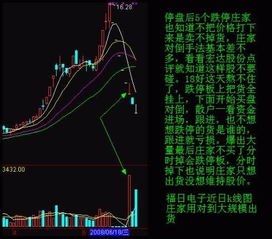 股票里的泸值和深值分别指的是什么意思 求大虾讲解 偶是菜鸟，不知道是不是指的是股票大概的状况的意思？