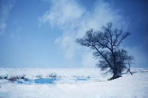 冬日氛围特效怎么弄好看(雪景风光照怎样拍出好看冷调效果)(冬天拍雪景摆什么姿势)