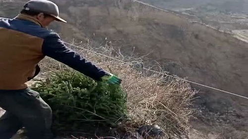 山路崎岖不平,行走都特别的困难,运输农作物全靠索道帮忙 