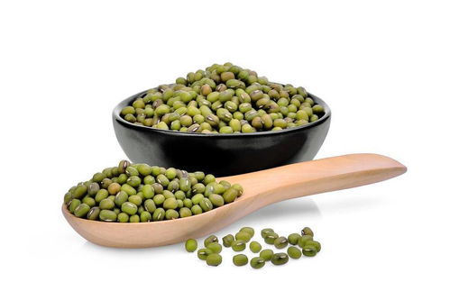 多吃绿豆能保护肝脏健康是真的吗
