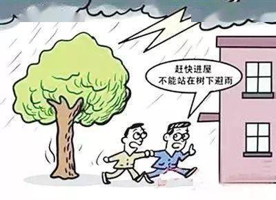 安全教育教案 遇到雷电暴雨怎么办