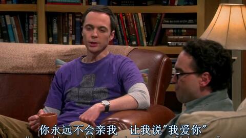 TBBT 警察 我想把谢尔顿送进精神病院