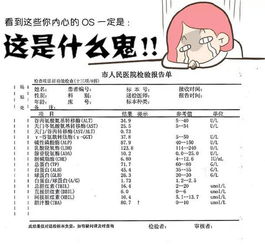 在医院体检对肝功能检查主要检查哪儿？检查什么？