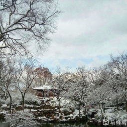 梦往昔金陵寻韵,披风雪姑苏觅景