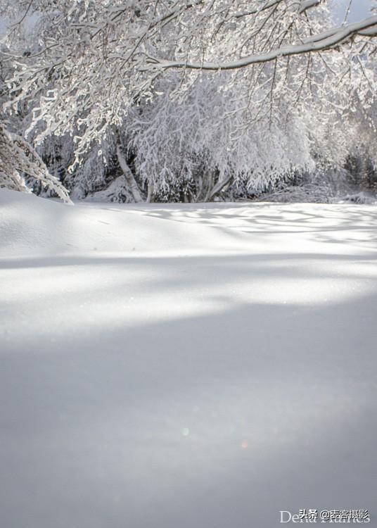 12个雪景摄影技巧 如何拍摄神奇的雪景