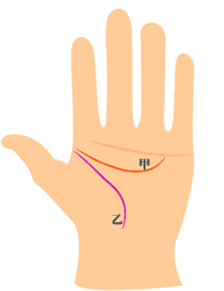 手相智慧线和生命线分开