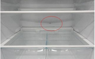 冰箱漏水怎么处理最快(冰箱漏水漏到哪里了)