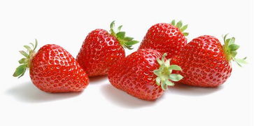 科学家发现草莓有预防白血病的功效