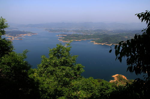 花亭湖风景区游玩攻略