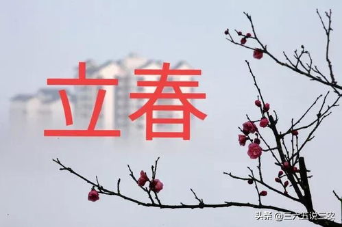 2022年什么时候立春 是 无春年 还是 双春年 有啥说法