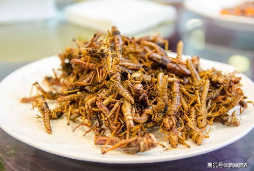 敢跟我抢食物,把你都给吃了