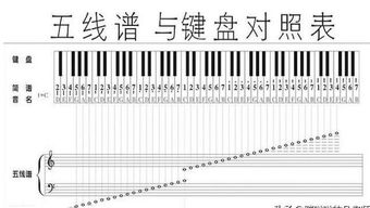 一分钟看懂钢琴六大基础知识