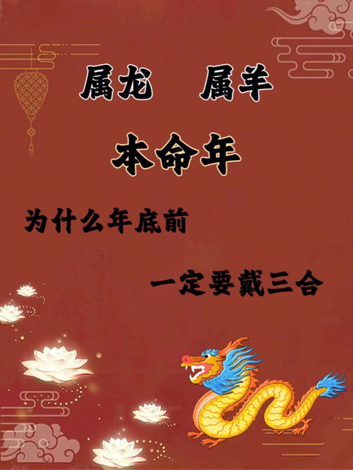 生肖羊应该佩戴什么 