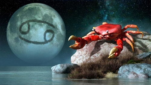 当月亮落入巨蟹座,即使有坚硬的外壳,也需要温柔的呵护