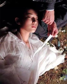 影视剧中 被强暴 的清纯玉女,刘亦菲最让人心痛惋惜