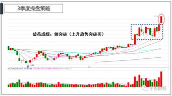 你在操盘时主要看多少周期