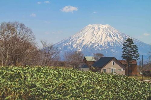 在日本北海道羊蹄山拍到的云海照片 信息阅读欣赏 信息村 K0w0m Com