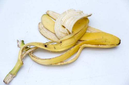 香蕉煮水能治便秘吗,香蕉可以治便秘吗