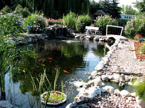 20个 庭院鱼池 案例,如果你有一个庭院,一定要设计一个jinl鱼池