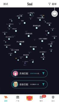 海外党的孤独,藏在Soul App的每一次匹配里