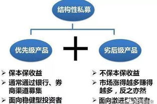 优先资金 劣后资金