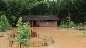 赣州10几年一遇的大暴雨,洪水冲进了房子涨到膝盖,厨房变成了河