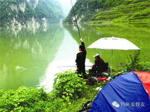 调钓没那么神秘 钓上鱼你就是高手