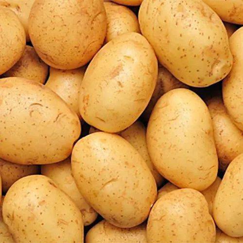 土豆为什么叫马铃薯 知道真相的你估计不想再吃土豆了