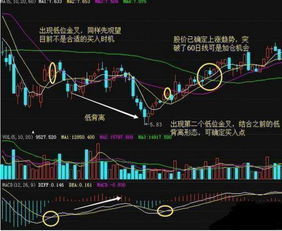 请高手解答如何用条件选股器，选出60分钟MACD金叉的股票？