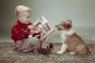 养狗益处多 帮助儿童爱上阅读