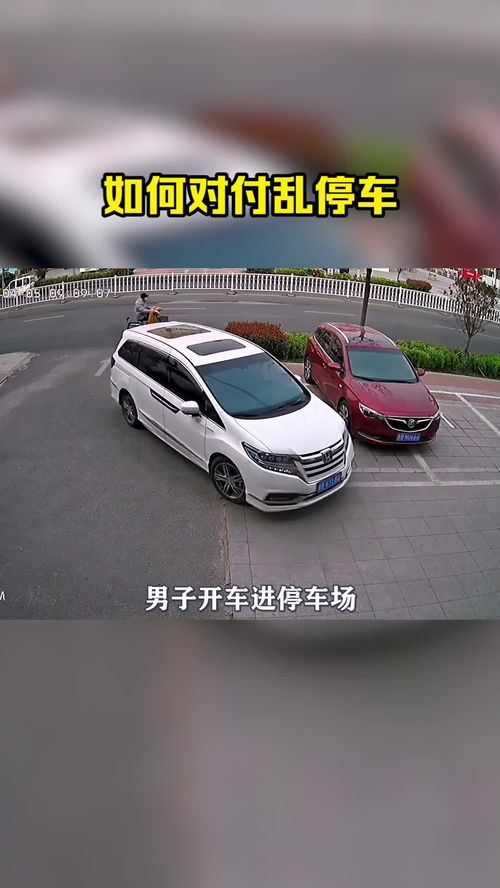 洪山礼堂附近如何停车(水果湖免费停车场)