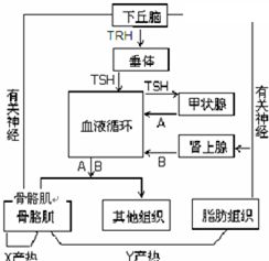 为什么细胞內各种元素的比例与无机环境么大不相同