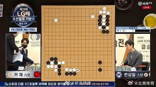 围棋世界排名(现在国际围棋*是谁)