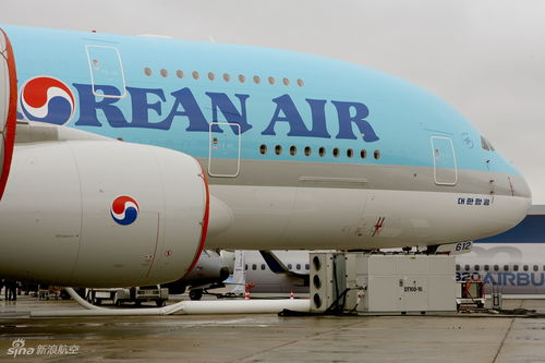 空客公司在航展上展示第二架大韩航空A380客机 
