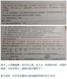 有一种试卷叫做别人家的试卷,看完笑死了 