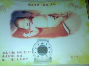 男兔宝宝2011年2月21日4点38分出生.父亲姓陶.母亲姓缪.帮忙取个好名字.谢谢 