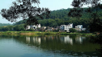 这才是大平层正确打开方式：依山，傍水，好风景！