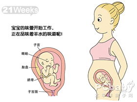 表情 怀孕5个月 怀孕五个月胎儿图 怀孕五个月吃什么好 怀孕五个月注意事项 ... 表情 