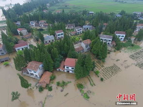 航拍湖南华容县溃口 积水瞬间淹没农田 