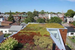 小区楼顶怎么弄好看的？屋顶花园如何设计设计屋顶花园需要注意什么