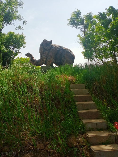 青州九龙峪景区无动力乐园是什么(青州九龙峪有动物园吗)