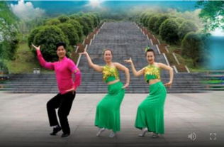 凤凰六哥广场舞 想西藏 藏族舞 背面演示及分解教学 编舞六哥
