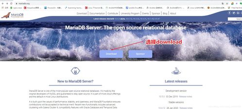 mariadb是开源的吗(mariadb数据库文件在哪)