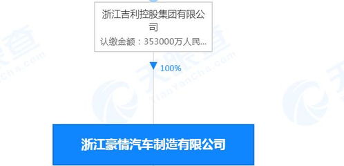 国务院规定的投资公司或控股公司是什么样的公司？符合什么条件的才属于这类公司？