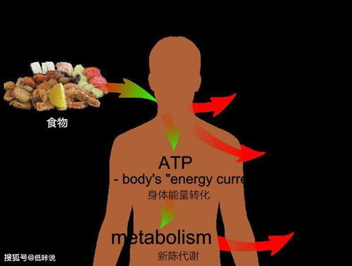 一入减肥误区悔终生,看一下你都踏过哪些坑