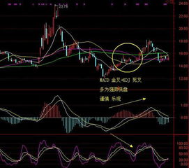 怎样快速寻找个股KDJ金叉死叉？