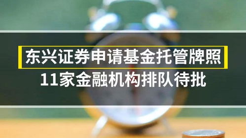 东兴基金管理有限公司