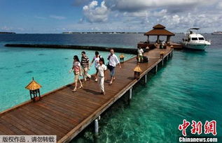 马尔代夫旅游业受挫如何重振营业（2021年马尔代夫旅游）